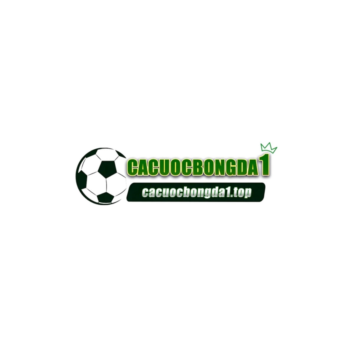 campaign-image-0