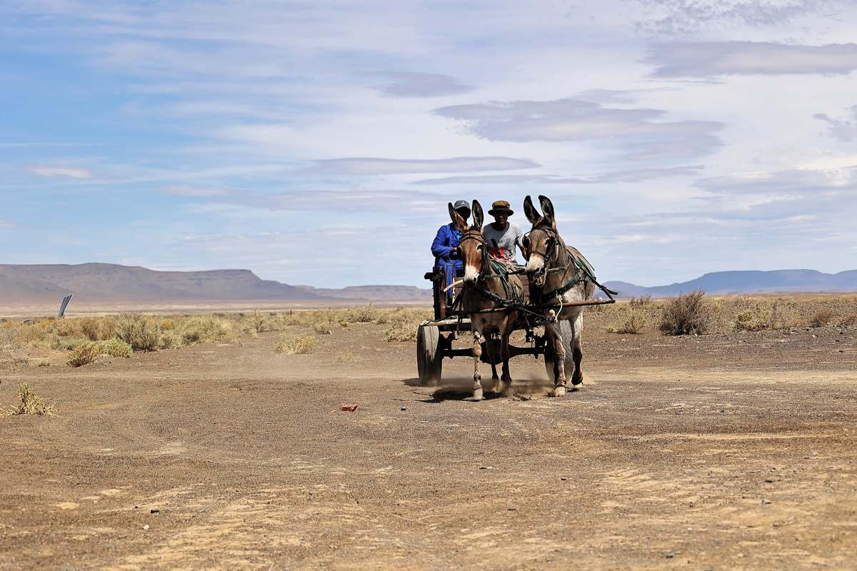 campaign-image-4