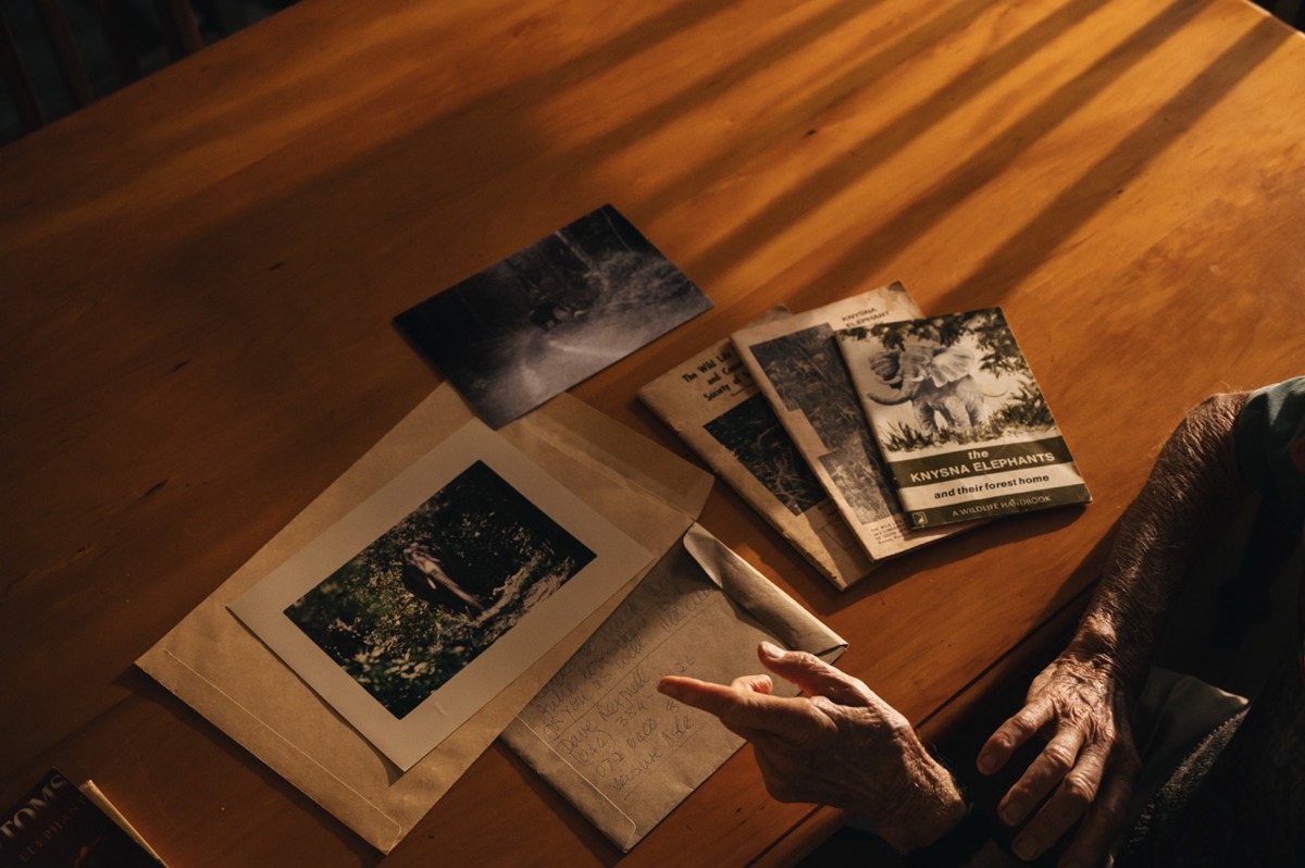 campaign-image-1