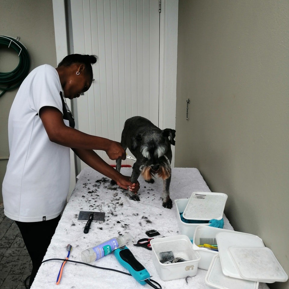 campaign-image-2