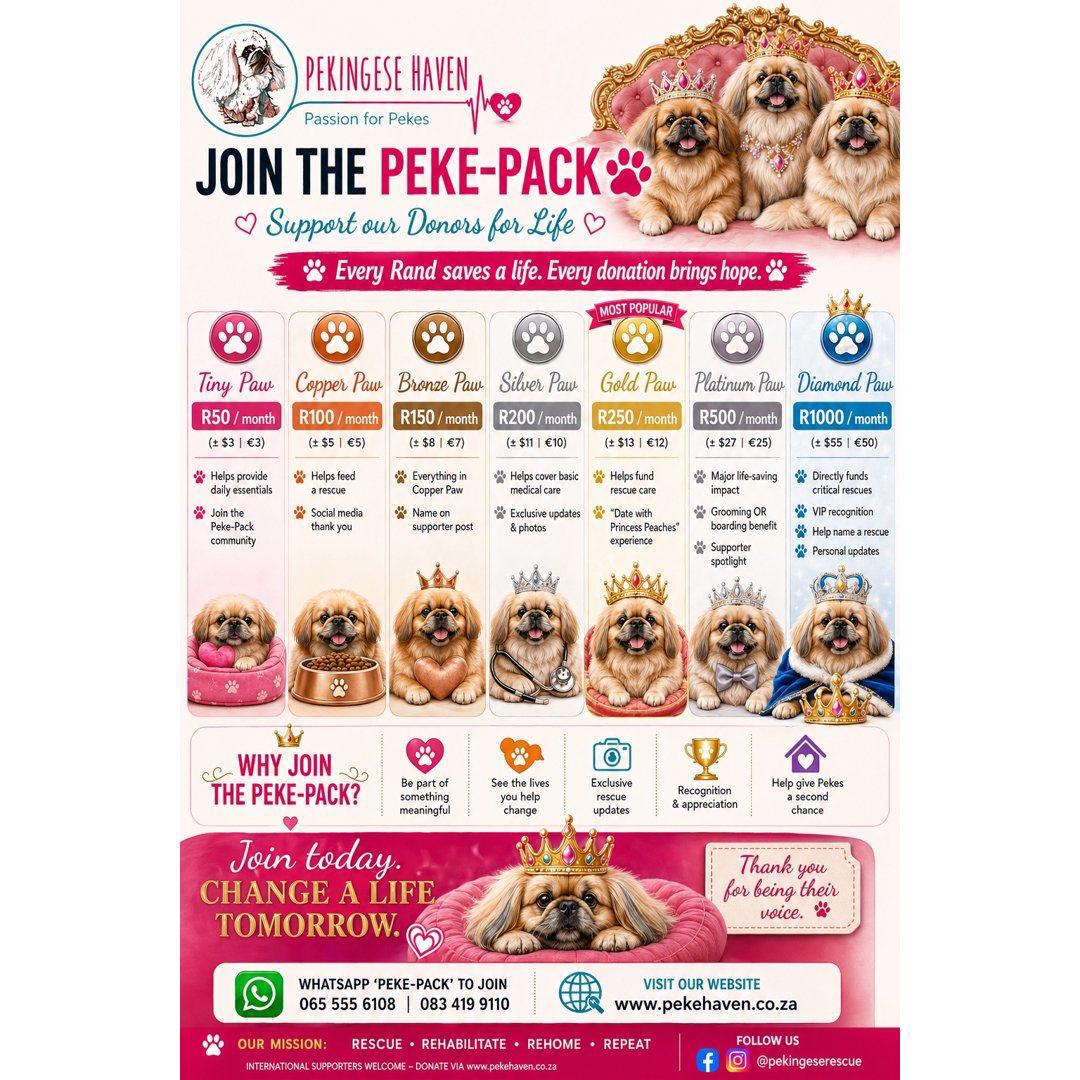 campaign-image-2