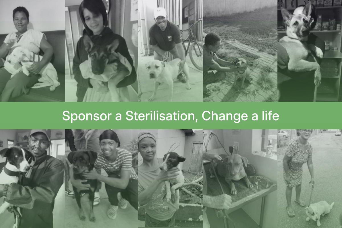 campaign-image-1