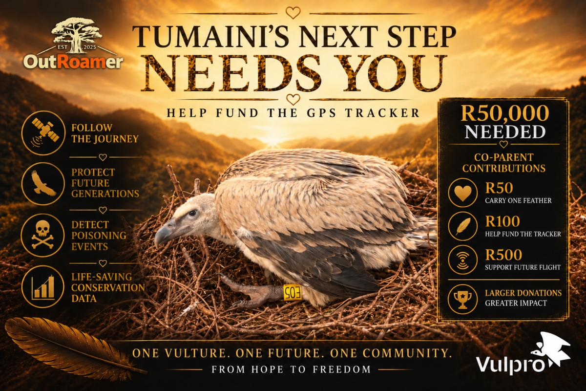 campaign-image-0