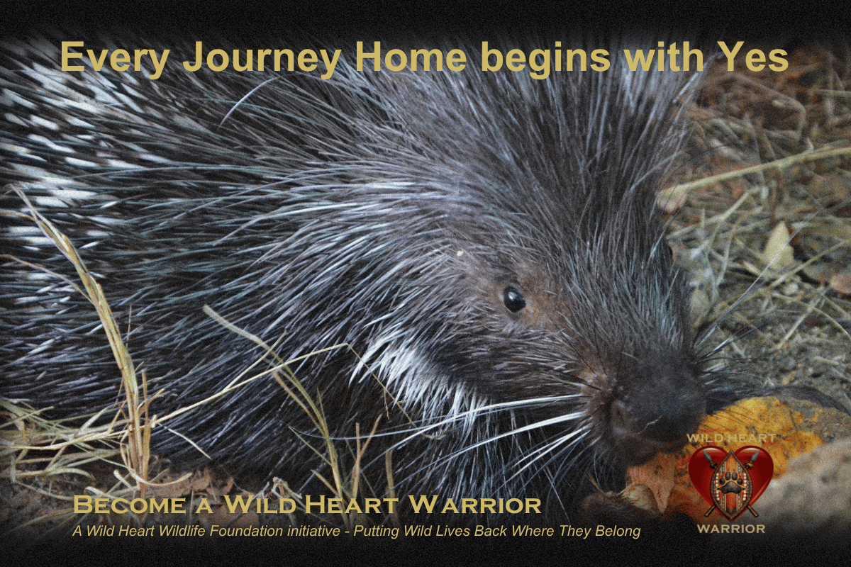 campaign-image-4