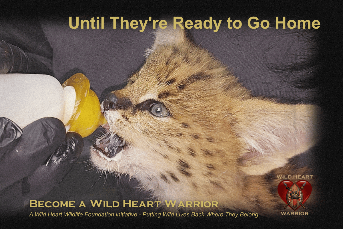 campaign-image-5