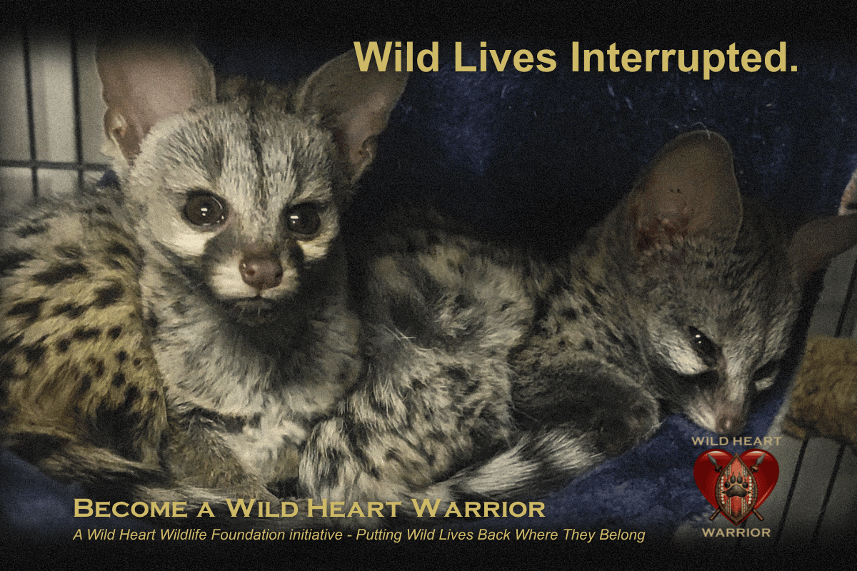 campaign-image-1