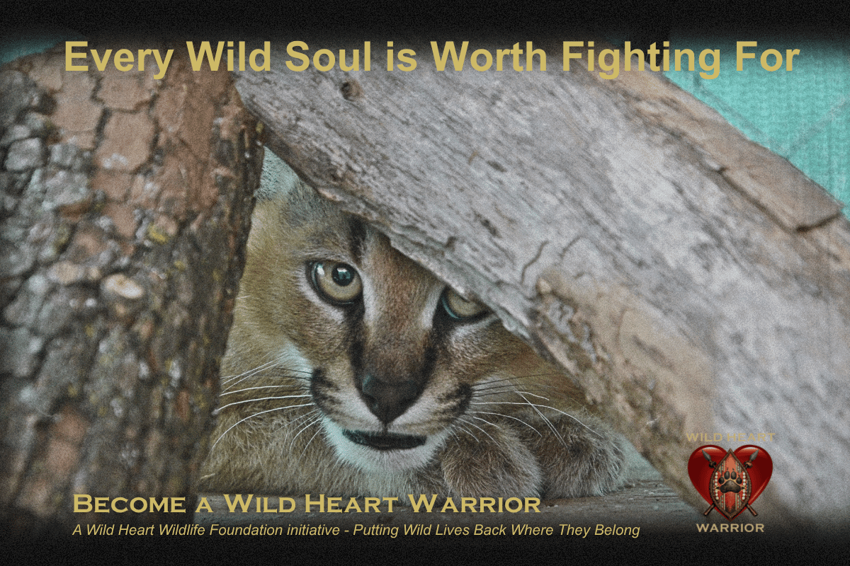 campaign-image-2