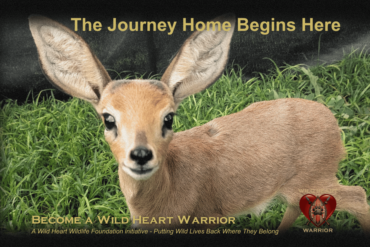 campaign-image-3