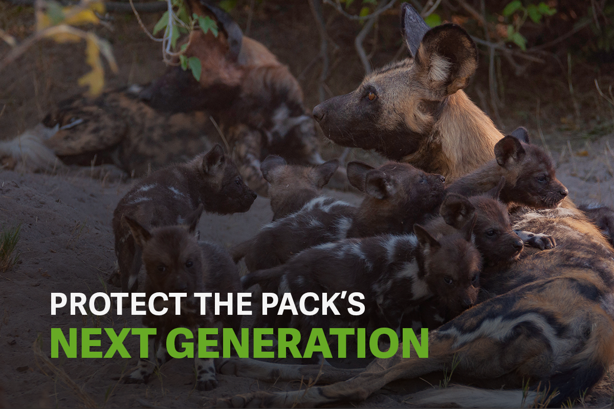 campaign-image-3