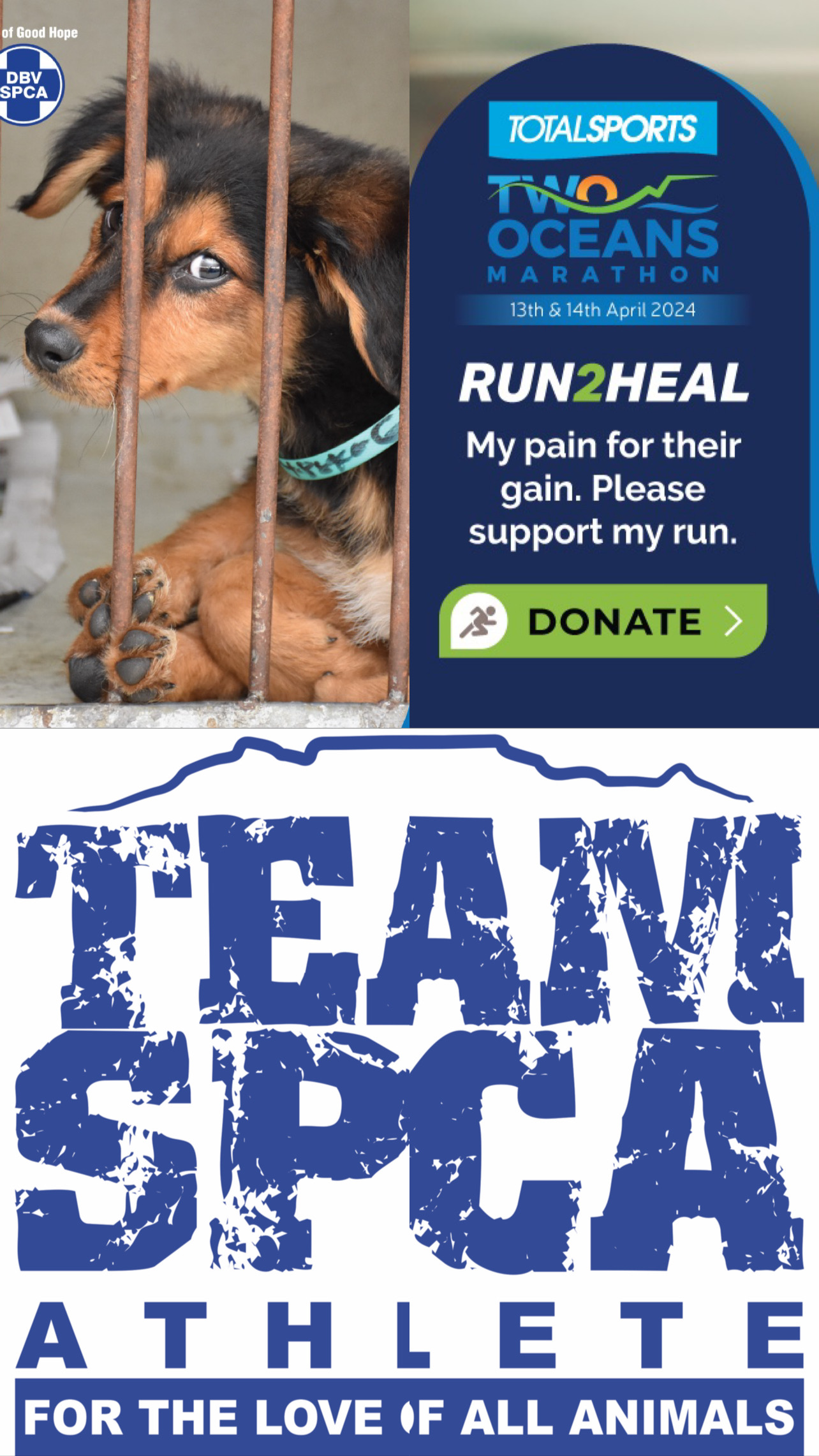 campaign-image-0