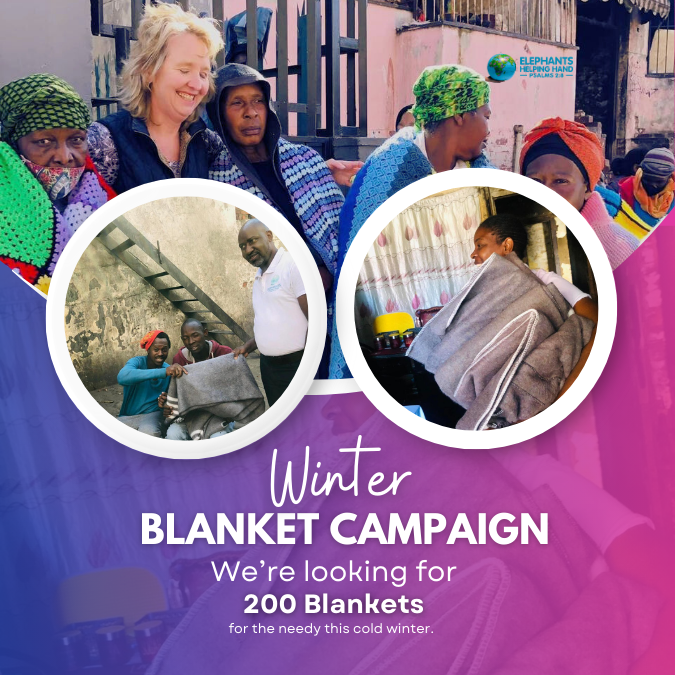 campaign-image-0