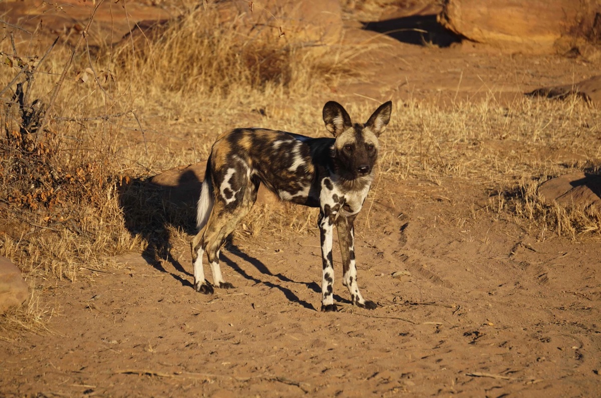 campaign-image-1