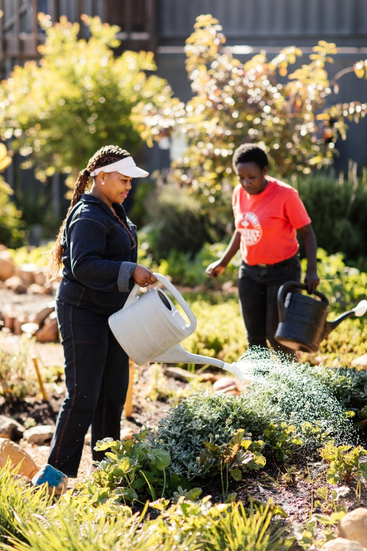 campaign-image-0