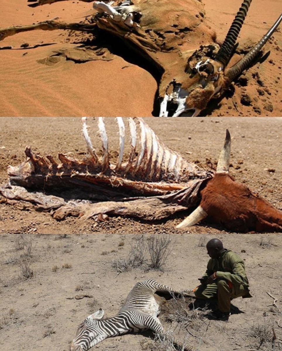 campaign-image-3