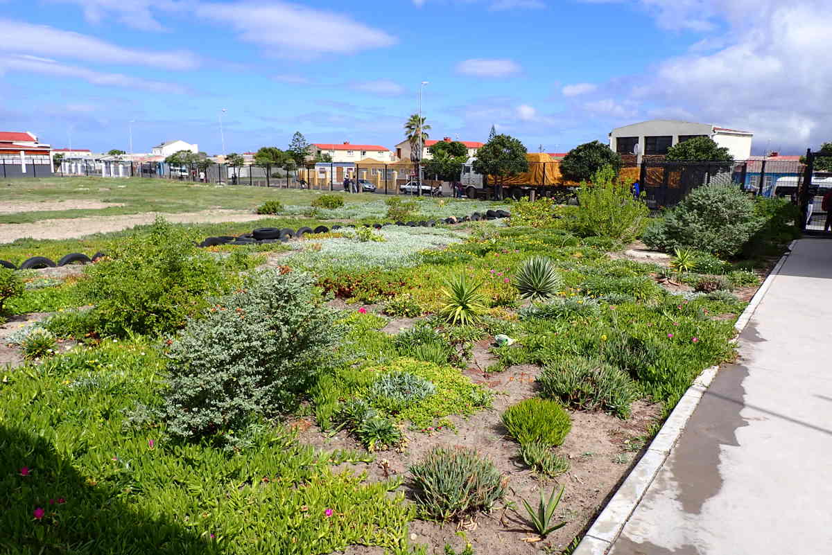 campaign-image-0