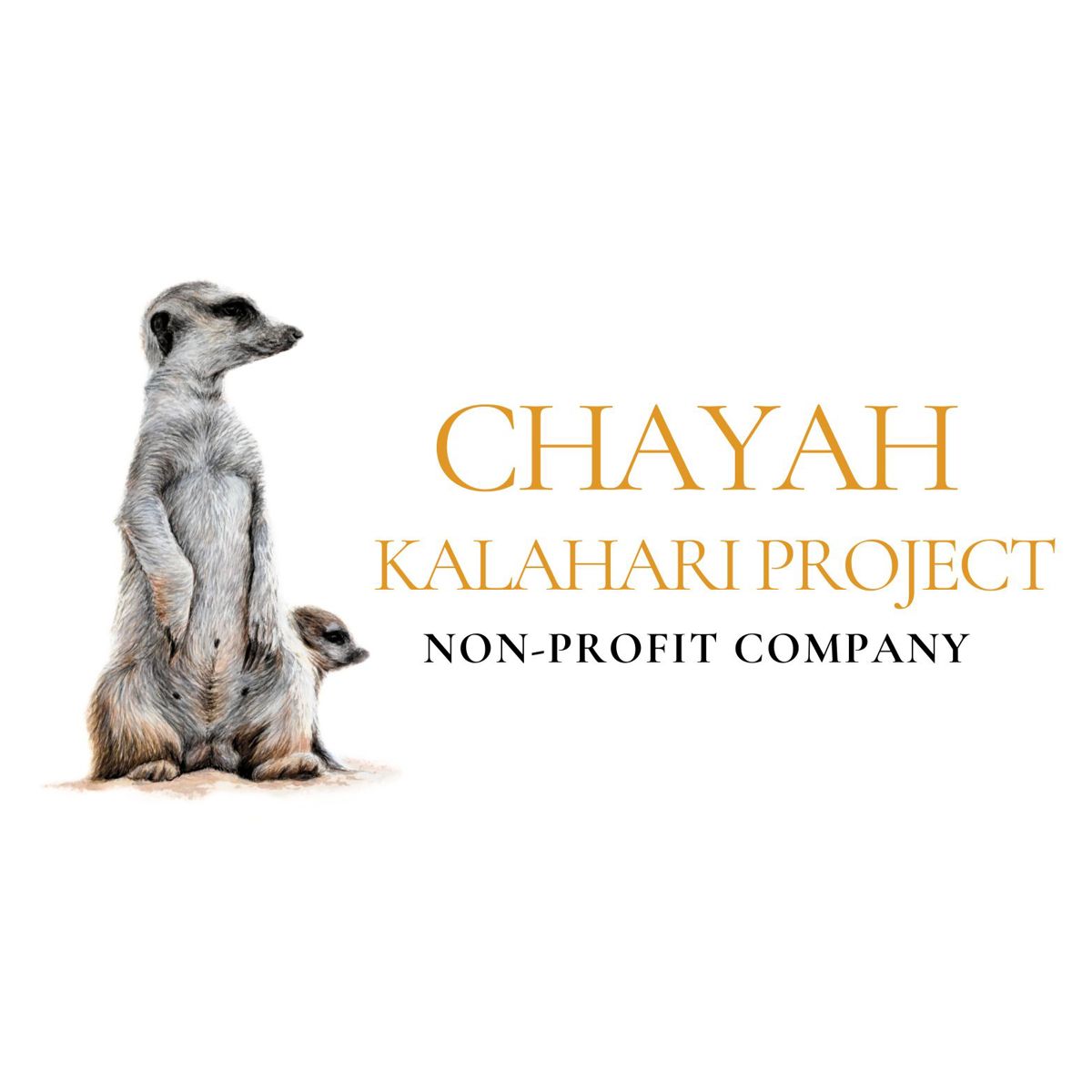 campaign-image-1