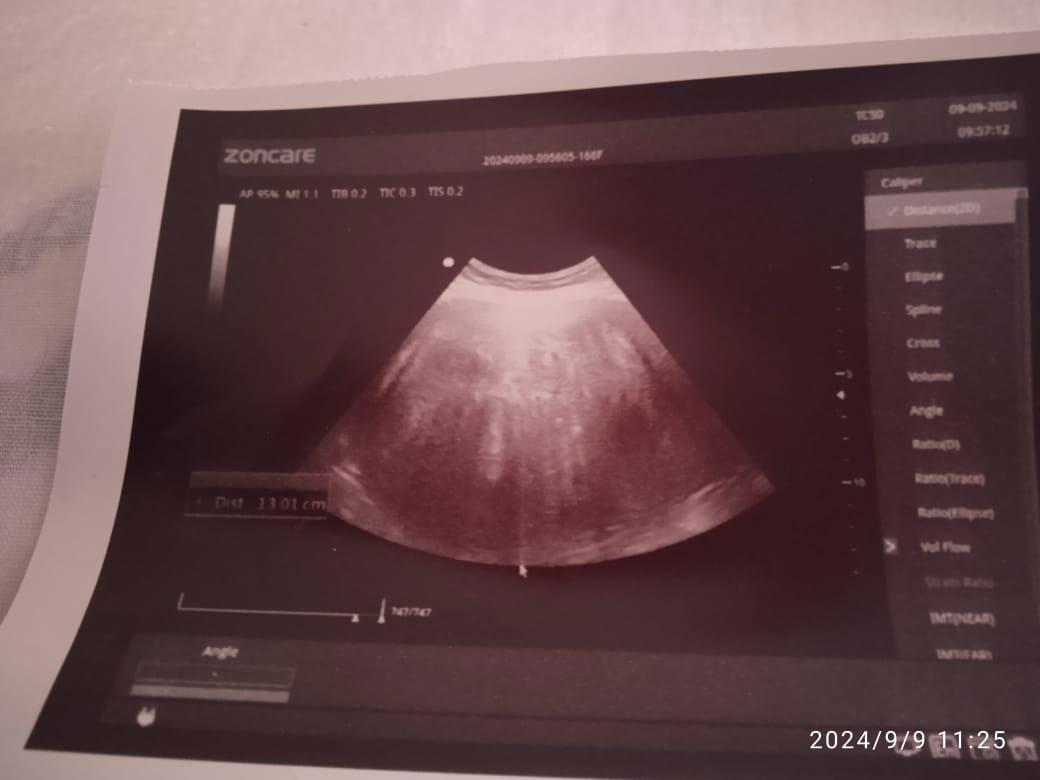 campaign-image-2