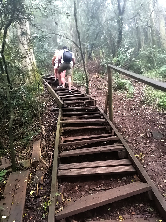 campaign-image-1