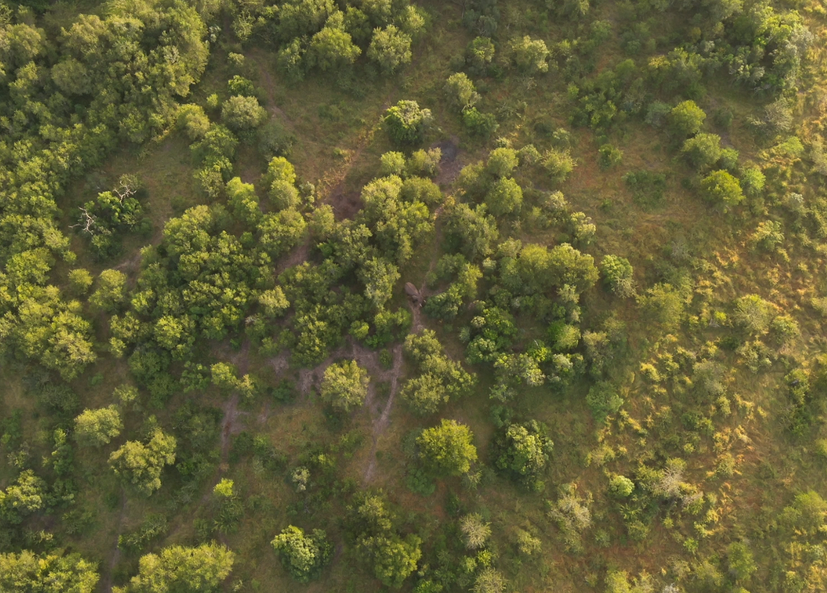 campaign-image-1
