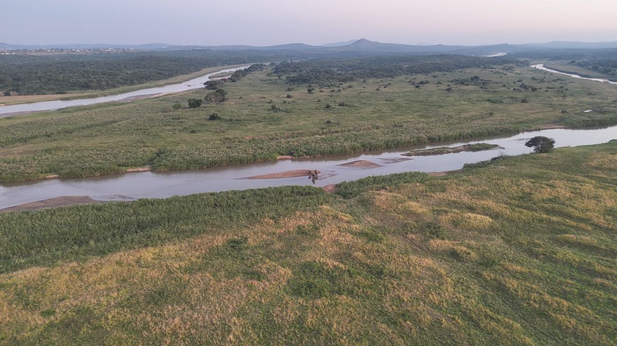 campaign-image-2