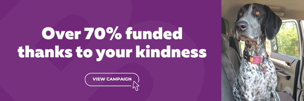 campaign-image-0